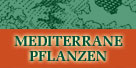 mediterrane pflanzen